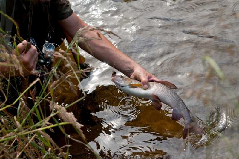 Szlakiem czerwonej drogi